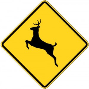 Deer Crossing Warning Sign
