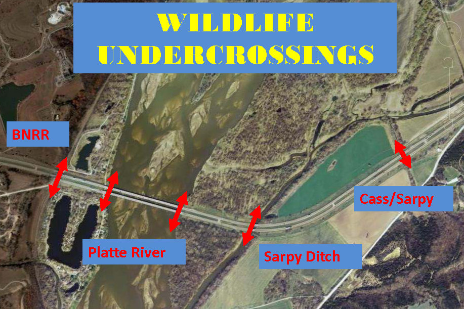 Wildlife Crossings Along I-80
